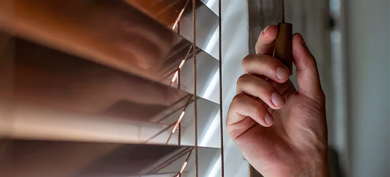 Double Roller Blinds in Boca Raton, FL