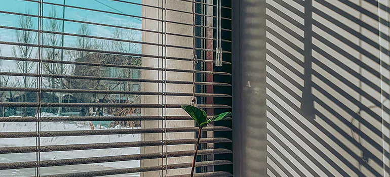 Commercial Window Blinds in Boca Raton, FL