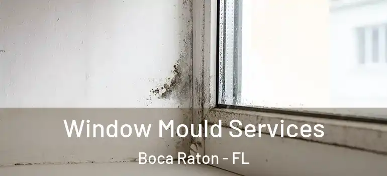  Window Mould Services Boca Raton - FL